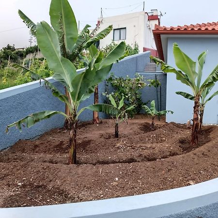 Calheta Paradise Holiday Home Arco da Calheta  Esterno foto