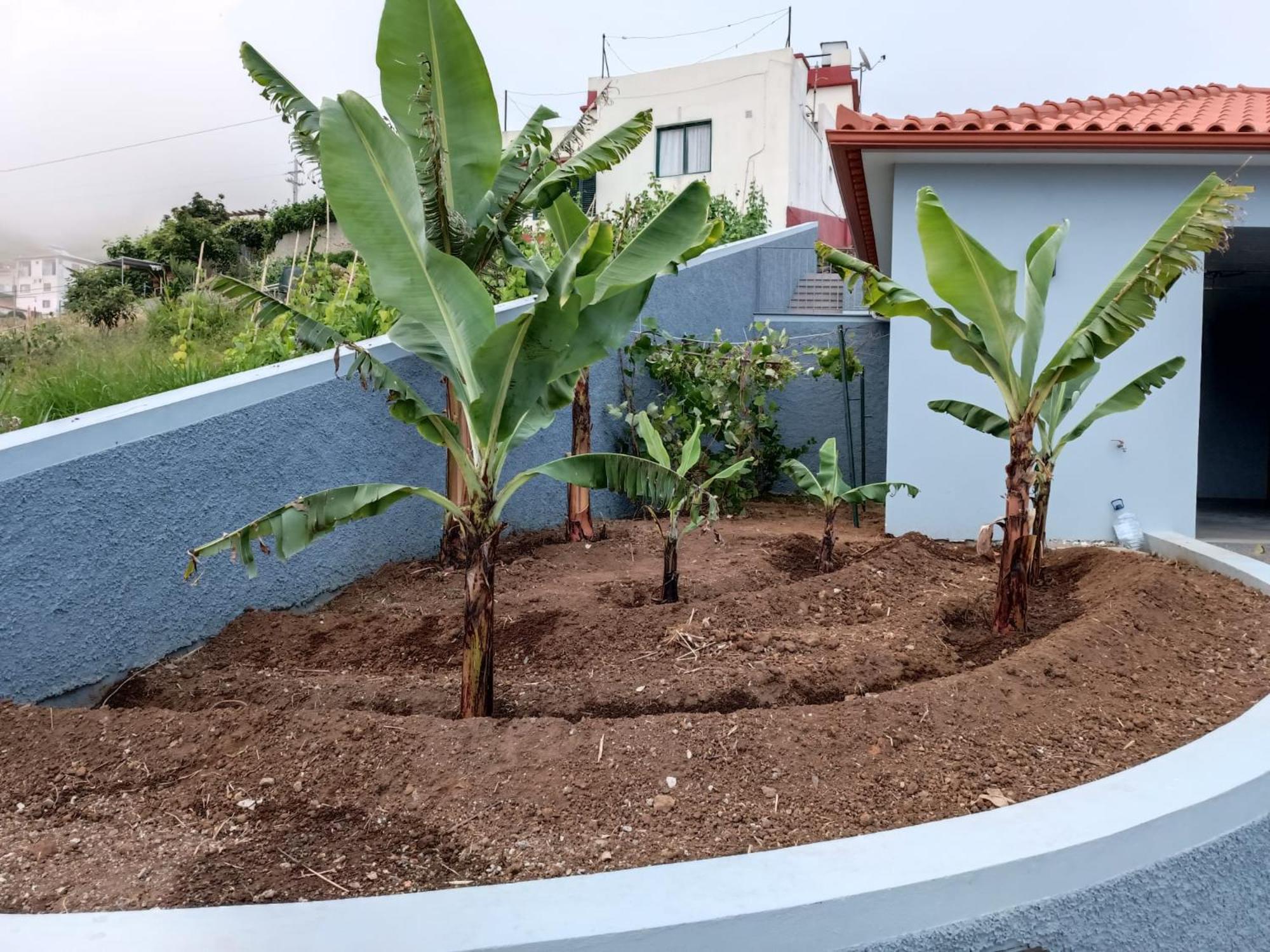 Calheta Paradise Holiday Home Arco da Calheta  Esterno foto
